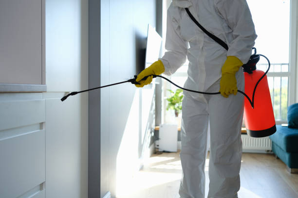 Best Residential Mold Removal  in Mountain View Acres, CA
