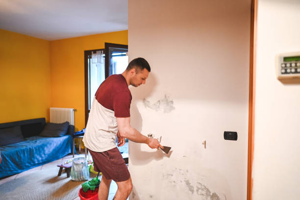 Best Mold Removal Company Near Me  in Mountain View Acres, CA